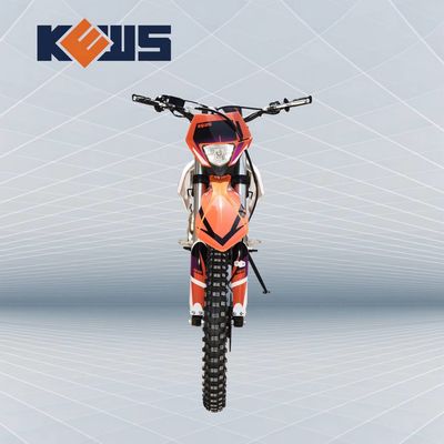 KEWS 175FMN PR300 Dört Zamanlı Motocross K10 Model Çinli 300CC Motosiklet